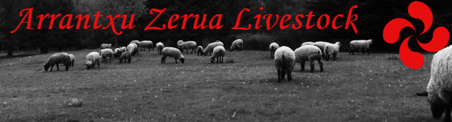 Club Lambs